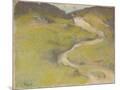 Wood Mount