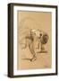 Brown Frame