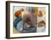 Edgar Degas: The Tub, 1886-Edgar Degas-Framed Giclee Print