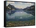 Canvas Black
