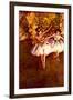 Edgar Degas Young Dancers-null-Framed Art Print