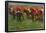 Edgar Germain Hilaire Degas (Horse race before the start) Art Poster Print-null-Framed Poster