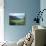 Edge of Exmoor, Near Porlock, Somerset, England, United Kingdom-Rob Cousins-Photographic Print displayed on a wall