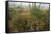 Edge of Field with Wildflowers-Paul Harcourt Davies-Framed Stretched Canvas