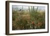 Edge of Field with Wildflowers-Paul Harcourt Davies-Framed Premium Photographic Print