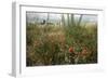 Edge of Field with Wildflowers-Paul Harcourt Davies-Framed Premium Photographic Print