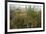 Edge of Field with Wildflowers-Paul Harcourt Davies-Framed Photographic Print