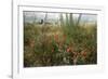 Edge of Field with Wildflowers-Paul Harcourt Davies-Framed Photographic Print