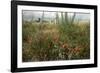 Edge of Field with Wildflowers-Paul Harcourt Davies-Framed Photographic Print