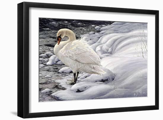 Edge of Light - Mute Swan-Jeff Tift-Framed Giclee Print