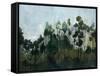 Edge of the Canopy-Kari Taylor-Framed Stretched Canvas