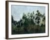 Edge of the Canopy-Kari Taylor-Framed Premium Giclee Print