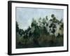 Edge of the Canopy-Kari Taylor-Framed Premium Giclee Print