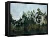 Edge of the Canopy-Kari Taylor-Framed Stretched Canvas