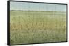 Edge of the Field I-Tim OToole-Framed Stretched Canvas