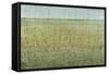 Edge of the Field I-Tim OToole-Framed Stretched Canvas