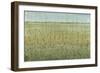 Edge of the Field I-Tim OToole-Framed Art Print