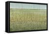 Edge of the Field I-Tim OToole-Framed Stretched Canvas