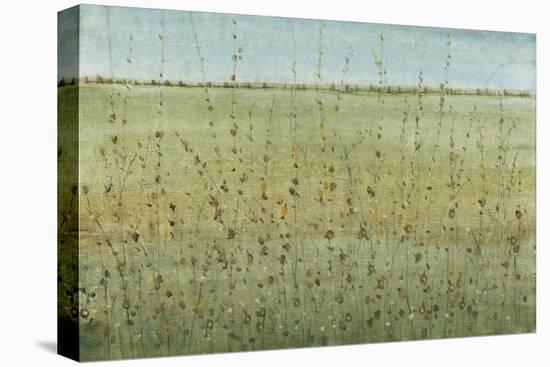 Edge of the Field I-Tim OToole-Stretched Canvas
