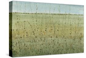 Edge of the Field I-Tim OToole-Stretched Canvas