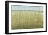 Edge of the Field II-Tim OToole-Framed Art Print