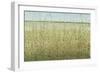 Edge of the Field II-Tim OToole-Framed Art Print