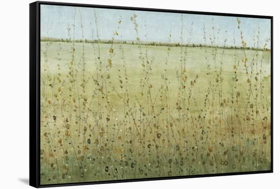 Edge of the Field II-Tim OToole-Framed Stretched Canvas