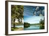 Edge Of The Forest II-Sidney Aver-Framed Art Print