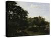Edge of the Forest in Fountainbleau, c.1865-Frederic Bazille-Stretched Canvas