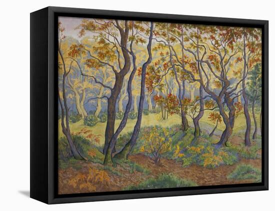 Edge of the Forest-Paul Ranson-Framed Stretched Canvas