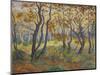 Edge of the Forest-Paul Ranson-Mounted Giclee Print