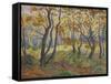 Edge of the Forest-Paul Ranson-Framed Stretched Canvas