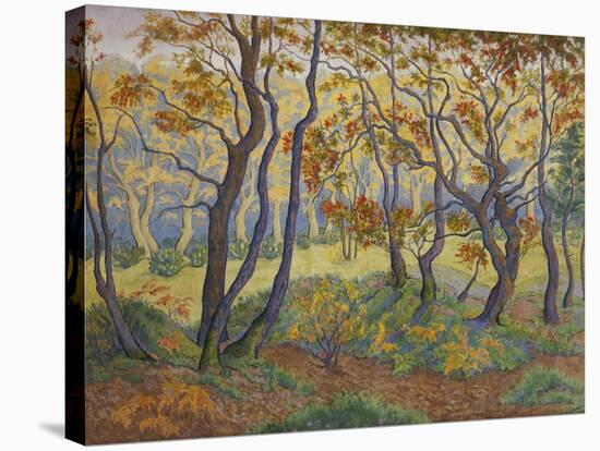 Edge of the Forest-Paul Ranson-Stretched Canvas