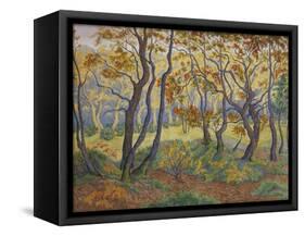 Edge of the Forest-Paul Ranson-Framed Stretched Canvas