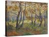 Edge of the Forest-Paul Ranson-Stretched Canvas