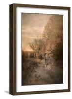 Edge of the Forest-Jai Johnson-Framed Giclee Print