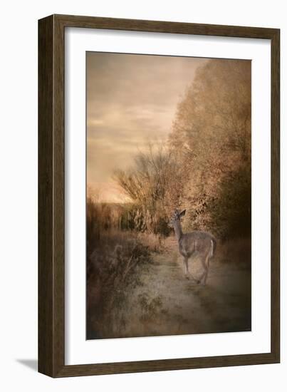 Edge of the Forest-Jai Johnson-Framed Giclee Print