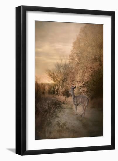 Edge of the Forest-Jai Johnson-Framed Giclee Print