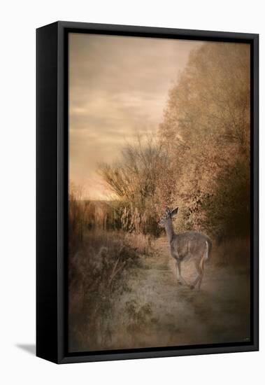 Edge of the Forest-Jai Johnson-Framed Stretched Canvas