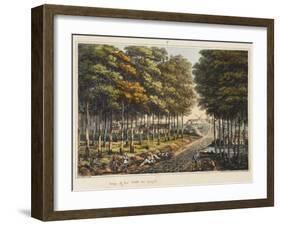 Edge of the Foret De Soignes-James Rouse-Framed Giclee Print