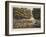 Edge of the Foret De Soignes-James Rouse-Framed Giclee Print