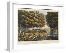 Edge of the Foret De Soignes-James Rouse-Framed Giclee Print