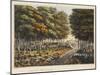 Edge of the Foret De Soignes-James Rouse-Mounted Giclee Print