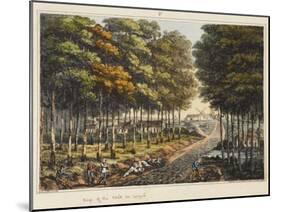 Edge of the Foret De Soignes-James Rouse-Mounted Giclee Print