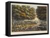 Edge of the Foret De Soignes-James Rouse-Framed Stretched Canvas
