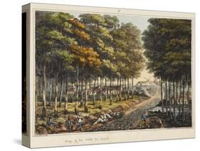 Edge of the Foret De Soignes-James Rouse-Stretched Canvas