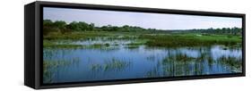 Edge of the Okavango Delta, Moremi Wildlife Reserve, Botswana-null-Framed Stretched Canvas