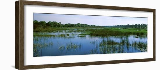 Edge of the Okavango Delta, Moremi Wildlife Reserve, Botswana-null-Framed Photographic Print