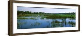 Edge of the Okavango Delta, Moremi Wildlife Reserve, Botswana-null-Framed Photographic Print