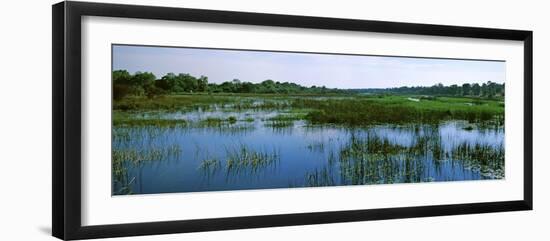 Edge of the Okavango Delta, Moremi Wildlife Reserve, Botswana-null-Framed Photographic Print